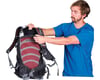 Image 4 for Osprey Escapist 32 Backpack (Black) (S/M)